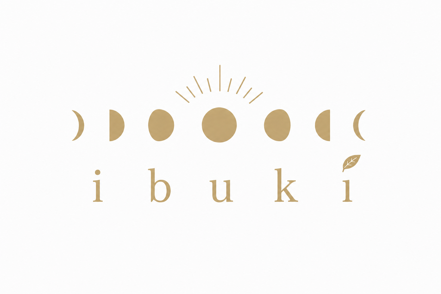 株式会社ibuki